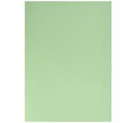 Exacompta - Réf. 150004E - Carton de 10 paquets de 100 sous-chemises FLASH 80 g/m2 aux teintes vives - 100% recyclées et certifiées Ange Bleu - dimensions 22 x 31 cm pour format A4 - couleur vert