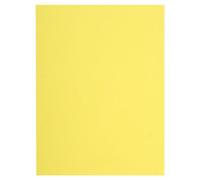 Exacompta - Réf. 160005E - Carton de 5 paquets de 100 chemises rigides FLASH 220 g/m2 aux teintes vives - 100% recyclées et certifiées Ange Bleu - dimensions 24x32 cm pour format A4 - couleur canari