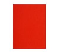 Exacompta - Réf. 160012E - Carton de 5 paquets de 100 chemises rigides FLASH 220 g/m2 aux teintes vives - 100% recyclées et certifiées Ange Bleu - dimensions 24x32 cm pour format A4 - couleur rouge