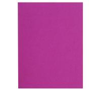 Exacompta - Réf. 160020E - Carton de 5 paquets de 100 chemises rigides FLASH 220 g/m2 aux teintes vives - 100% recy s et certifiées Ange Bleu - dim 24x32 cm pour format A4 - couleur fuchsia