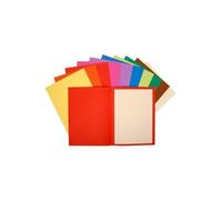 Exacompta - Réf. 160300E - 10 paquets de 10 chemises rigides FLASH 220 g/m2 aux teintes vives - 100% recyclées et certifiées Ange Bleu - dimensions 24x32 cm pour format A4 - 10 couleurs assorties