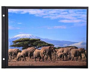 Exacompta - Réf. 16813E - 1 Sachet de 10 Recharges carte classique pour album à vis pages noires au format 32x22 cm (recharge 30,5x21,5 cm) - avec vis d'extensions