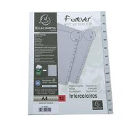 Exacompta - Réf. 1812E - Intercalaires gris en polypropylène recyclé avec 12 onglets imprimés mensuel de Janvier à Décembre - Format à classer A4 - Dimensions 22,5 x 29,7 cm - certifiés Ange Bleu