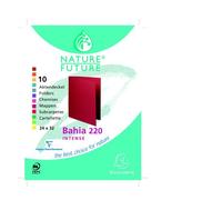 Exacompta - Réf. 217001E - Paquet de 10 chemises rigides ROCK''S 210 g/m2 aux couleurs vives - chemises certifiées PEFC™ - dimensions 24 x 32 cm pour format A4 - Couleurs assorties