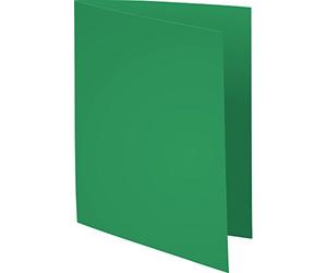 Exacompta - Réf. 217104E - Carton de 10 paquets de 10 chemises rigides ROCK''S 210 g/m2 aux couleurs vives - chemises certifiées PEFC™ - dimensions 24 x 32 cm pour format A4 - couleur sapin