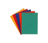 Exacompta - Réf. 220000E - Carton de 100 chemises en carte lustrée 225 g/m² - chemises certifiées FSC® - dimensions 24 x 32 cm pour documents format A4-5 couleurs assorties