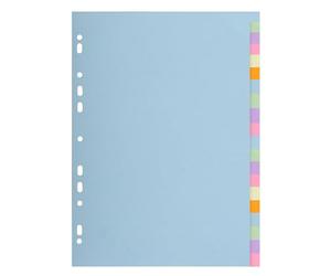 Exacompta - Réf. 2620E - 1 Intercalaire en carte pastel 170g/m2 Forever avec 20 onglets neutres - format à classer A4 - dimensions 22,5 x 29,7 cm - couleurs assorties pastels