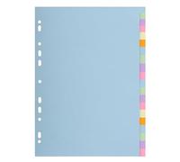 Exacompta - Réf. 2620E - Carton de 20 Intercalaires en carte pastel 170g/m2 Forever avec 20 onglets neutres - format à classer A4 - dimensions 22,5 x 29,7 cm - couleurs assorties pastels