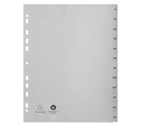 Exacompta - Réf. 2812E - Carton de 10 Intercalaires gris en polypropylène recyclé - 12 onglets imprimés mensuel de Janvier à Décembre - Format à classer A4 maxi - 24,5 x 29,7 cm - certifiés Ange Bleu