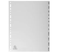 Exacompta - Réf. 2812E - Intercalaires gris en polypropylène recyclé avec 12 onglets imprimés mensuel de Janvier à Décembre - Format à classer A4 maxi - Dimensions 24,5 x 29,7 cm - certifiés Ange Bleu