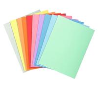 Exacompta - Réf. 330000E - Carton de 5 paquets de 100 chemises rigides SUPER 210 g/m2 aux couleurs pastel - chemises certifiées PEFC™ - dimensions 24 x 32cm pour format A4 - 10 couleurs assorties