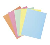 Exacompta - Réf. 332100E - Carton de 10 paquets de 5 chemises rigides avec 2 rabats SUPER 210 g/m² - couleurs pastel - chemises certifiées PEFC™- dim 24 x 32cm pour format A4-5 couleurs assorties