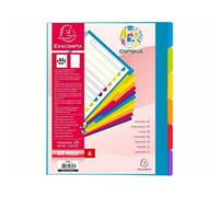 Exacompta - Réf. 3806E - Carton de 25 intercalaires en polypropylène rigide semi-opaques avec 6 onglets neutres Campus - Page d'indexation imprimable - Format à classer A4 maxi - Couleurs translucides