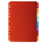 Exacompta - Réf. 3908E - Intercalaires en polypropylène translucide avec 8 onglets neutres - avec porte étiquette - Livré avec une planche d'étiquettes détachables - Format à classer A4