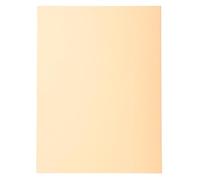 Exacompta - Réf. 410002E - Carton de 5 paquets de 100 chemises rigides Forever® 220 g/m2 - chemises 100% recyclées et certifiées Ange Bleu - dimensions 24 x 32 cm pour format A4 - couleur Bulle