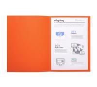 Exacompta - Réf. 410007E - Paquet de 100 chemises rigides Forever® 220 g/m2 - chemises 100% recyclées et certifiées Ange Bleu - dimensions 24 x 32 cm pour format A4 - couleur orange