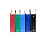 Exacompta - Réf. 51050E - Carton de 10 classeurs rigides pour fiches bristols - 2 anneaux ronds diamètre 25mm - Dos 40mm - Dimensions extérieures : 14 x 18 cm - Assortis