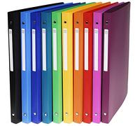 Exacompta - Réf. 51299E - Carton de 20 classeurs souples avec étiquette OPAK - 4 anneaux ronds diamètre 15 mm - dos 20 mm - dimensions extérieures 32 x 25 cm - format à classer A4 - couleurs assorties