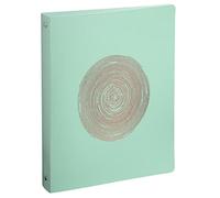 Exacompta - Réf. 51990E - Carton de 12 classeurs semi-rigides Ellipse - 4 anneaux ronds diamètre 30 mm - dos 40 mm - dimensions extérieures 32 x 26,8 cm - format à classer A4 maxi - coloris assortis