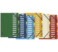 Exacompta - Réf. 5312E - Carton de 6 trieurs HARMONIKA - avec élastiques et fenêtres découpées - en carte lustrée - dos extensible - 12 compartiments - pour A4 - dim 24,5 x 32cm - coloris assortis