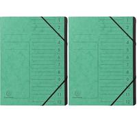 Exacompta - Réf. 541203E - 1 trieur dos agrafé - avec élastiques - couverture imprimée en carte lustrée et intérieur en carte recy noire - 12 compartiments - dim 24,5 x 32 cm - A4 - couleur vert