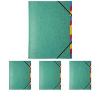 Exacompta - Réf. 54120E - 1 trieur dos agrafé - avec élastiques - couverture imprimée en carte lustrée et intérieur en carte recy 12 compartiments - dim 24,5x32cm - pour A4 - couleurs aléatoires