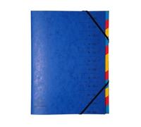 Exacompta - Réf. 54120E - Carton de 8 trieurs dos agrafé - avec élastiques - couverture imprimée en carte lustrée et intérieur en carte recyclée - 12 compartiments - 24,5x32cm - pour A4 - assorties