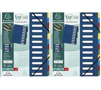 Exacompta - Réf. 55122E - 1 trieur HARMONIKA - avec élastiques et fenêtres découpées - couverture en carte lustrée - dos extensible - 12 compartiments - pour A4 - dim 24,5 x 32 cm - couleur bleu