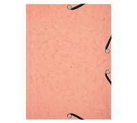 Exacompta - Réf. 555667E - Carton de 10 Chemises 3 rabats à élastiques Aquarel + 25 fiches bristol A5 - spécial révision pour une organisation par thème ou par matière - Corail