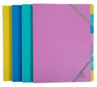 Exacompta - Réf 56190E - Carton de 8 trieurs Forever Young - 3 rabats avec élastiques - couverture et intérieur en polypropylène recyclé - 8 compartiments - dim 25x32 cm - pour format A4 - assorties