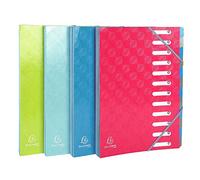 Exacompta - Réf. 56220E - 1 trieur HARMONIKA 1928 - avec élastiques et fenêtres découpées - dos extensible - en carte lustrée gaufrée - 12 compartiments - dim 24,5x32 cm - pour A4 -couleurs aléatoires