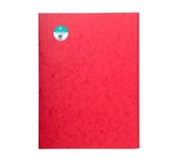 Exacompta - Ref 56403E_PAQ - Europa 3-Flap Folders - 240 x 320mm in Size, 400gsm