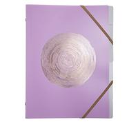 Exacompta - Réf. 56890E - 1 trieur Ellipse - avec élastiques - couverture en polypropylène recyclé avec timbrage or rosé - 6 compartiments - pour A4 - dim 25 x 32 cm - couleurs aléatoires