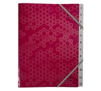 Exacompta - Réf. 58310E - Trieur avec 3 rabats Maïa - fermeture par élastiques - en polypropylène recyclé - 12 compartiments - dimensions 25x32 cm - pour A4 - couleurs aléatoires