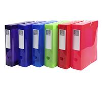 Exacompta - Réf. 59680E - 6 boites de classement avec élastiques Iderama - en polypropylène semi-translucide - dos 8 cm - dimensions 25 x 33 cm - pour A4 - 6 couleurs assorties - livrées montées