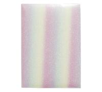 Exacompta - Réf. 62443E - Carton de 2 albums photos à pochettes CANDY - 300 photos 10x15cm - 100 pages - format 22,5 x 32,5 cm - couverture arc en ciel à paillettes avec un protège cahier