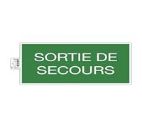 Exacompta - Réf. 67004E - 1 panneau adhésif SORTIE DE SECOURS - En PVC traité anti-dérapant et résistant aux UV - Dimensions du panneau : 35 x 20 cm - Coloris vert et blanc