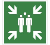 Exacompta Panneau adhésif Point de rassemblement Réf. 67120E Vinyle anti-dérapant UV Ø30 cm Vert