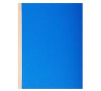 Exacompta - Réf. 771000E - Carton de 25 paquets de 10 chemises rigides à soufflet dos toilé Forever® 320 g/m² - dos de 30 mm - certifiées Ange Bleu - dim 24 x 32 cm pour format A4-5 couleurs