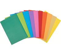 Exacompta Sous-chemises Rock's- Carte 80g - Assortis Vif