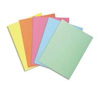 Exacompta - Réf. 850100E - Carton de 10 paquets de 100 sous-chemises SUPER 60 g/m2 aux couleurs pastel - sous chemises certifiées PEFC™ - dimensions 22 x 31 cm pour format A4-5 couleurs assorties