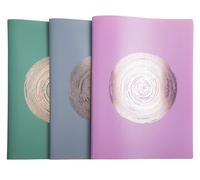 Exacompta - Réf. 85790E - Carton de 12 Protège-documents en PP recyclé semi-rigide Ellipse 60 vues - A4 - couleurs aléatoires