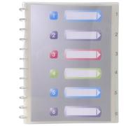 Exacompta - Réf. 86320E - 1 Protège-documents amovibles à anneaux - 30 pochettes cristal lisse - intercalaires rigides imprimés détachables - couverture en polypro rigide - couleur cristal