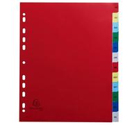 Exacompta - Réf. 92E - Carton de 20 Intercalaires en polypropylène avec 12 onglets imprimés mensuel de Janvier à Décembre en couleur - Page d'indexation imrpimable - Format à classer A4 maxi