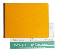 Exacompta Piqûré horizontal 20 colonnes sur 2 pages – 24 lignes 80 p. 250×320 mm
