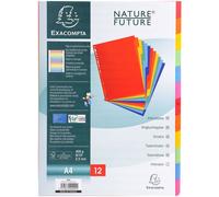 EXACOMPTA Répertoire en carton DIN A4 12 pièces