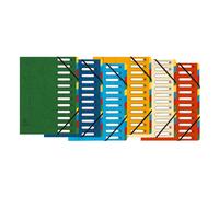 Exacompta Trieur à élastiques Harmonika à fenêtres - véritable carte lustrée - 12 divisions - Couleurs assorties