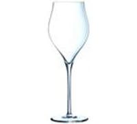 - EXALTATION - 6 flûtes 30cl Transparent G