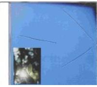 Example: I Die On My Knees [EXPLICIT LYRICS]