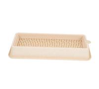 EXAOMBLE Cat Plant Nursery Box Hydroponic Cat Grass Planter Pratique Et Aéré pour Chats Jardinière sans Sol Plastique